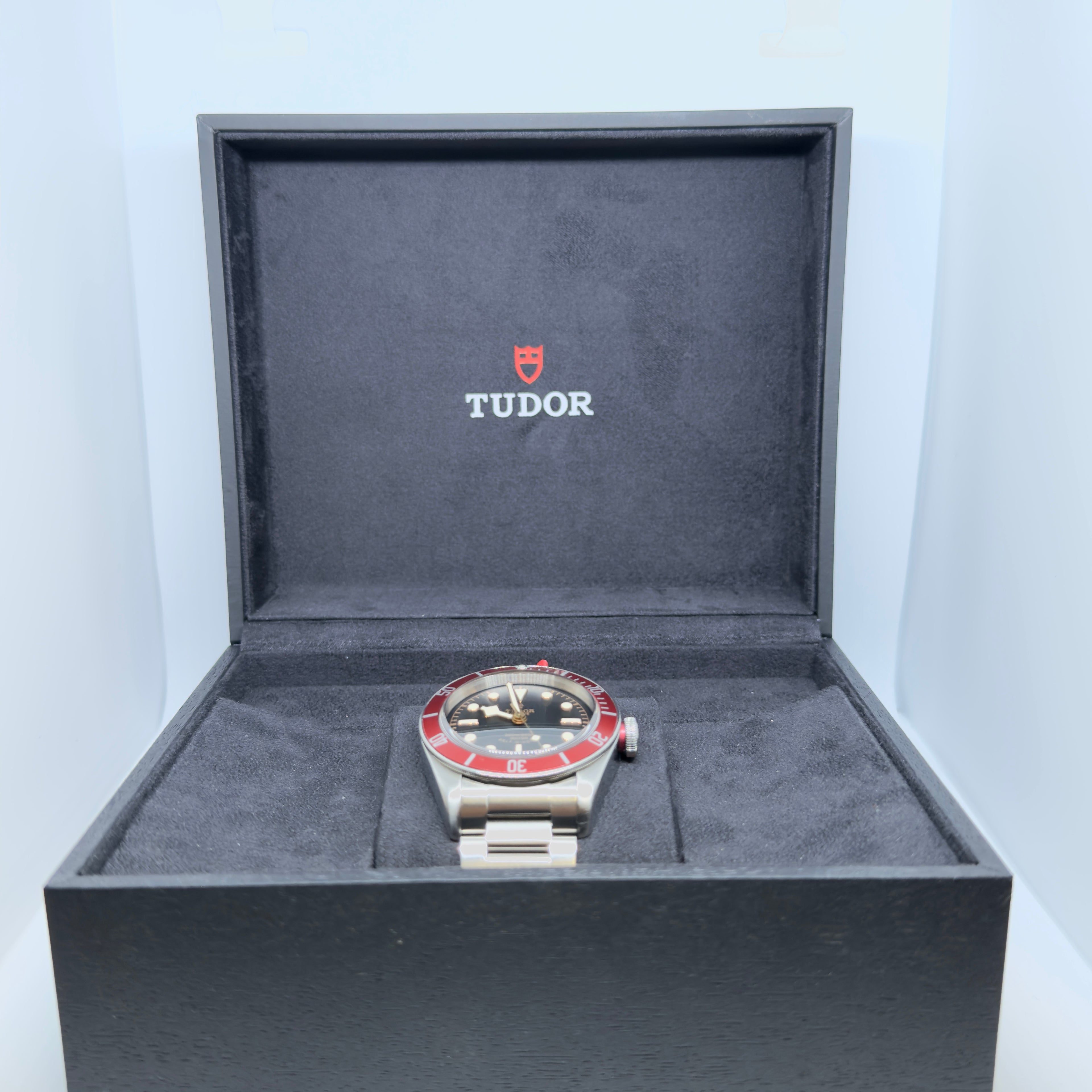 Tudor Black Bay