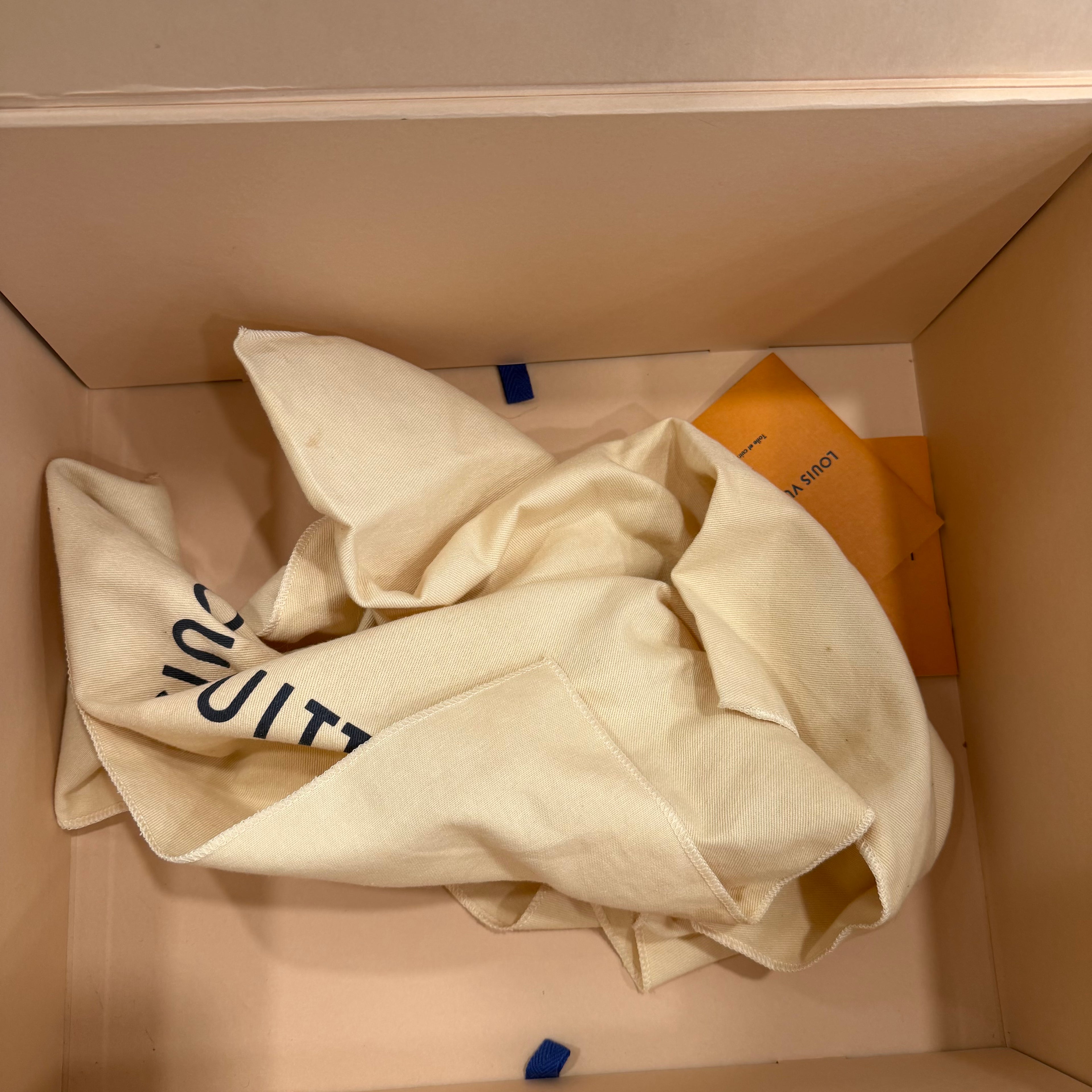 Louis Vuitton Palm Spring