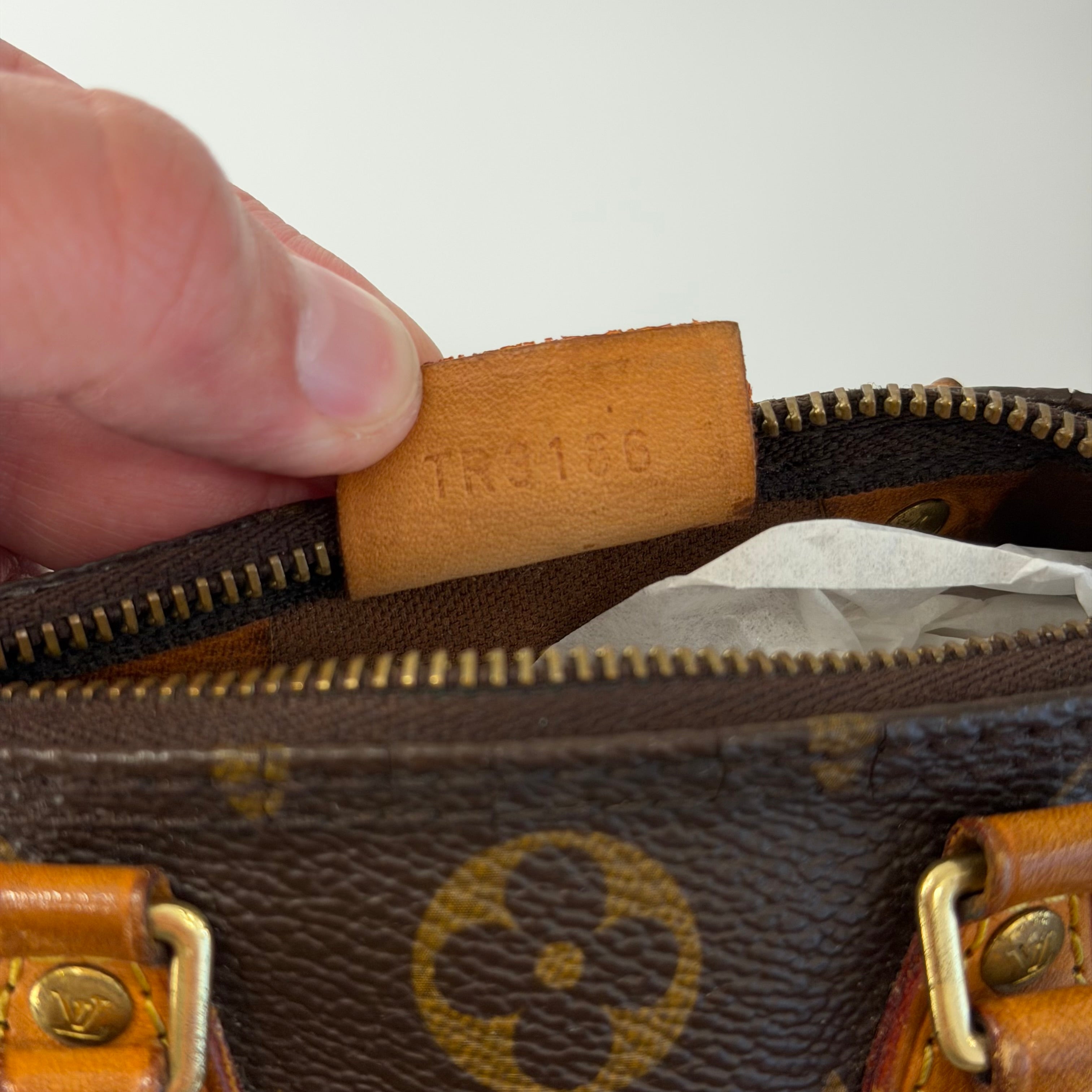 Louis Vuitton Speedy nano Bandouliere