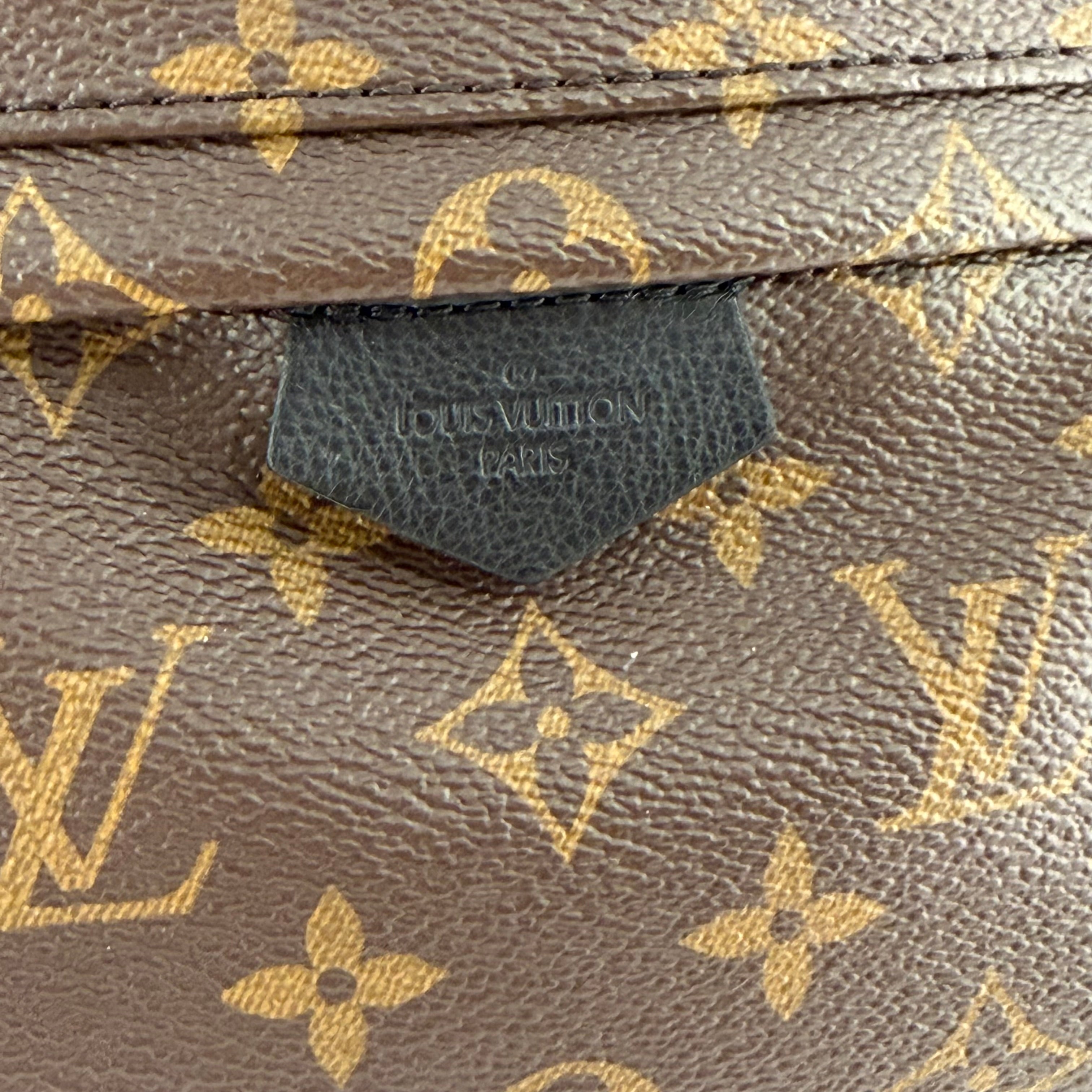 Louis Vuitton Palm Spring