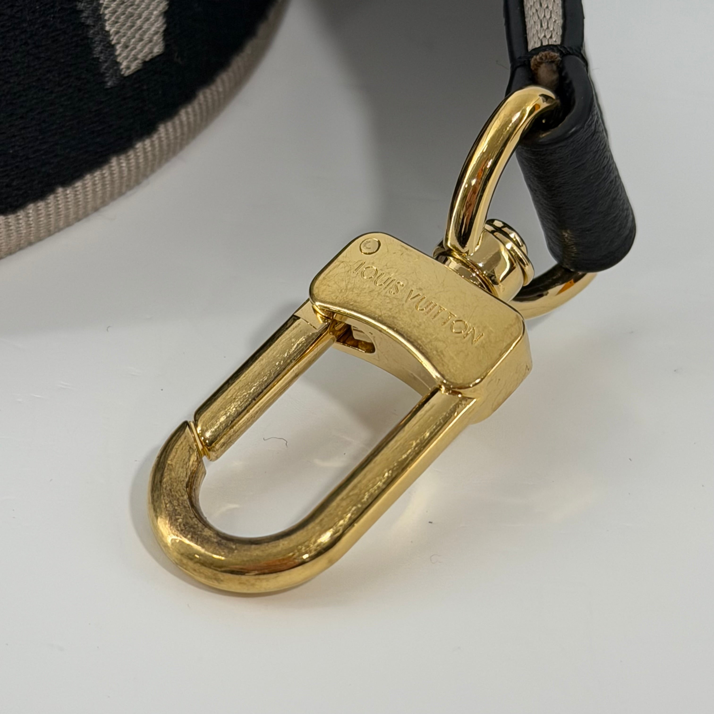 Louis Vuitton Tracolla