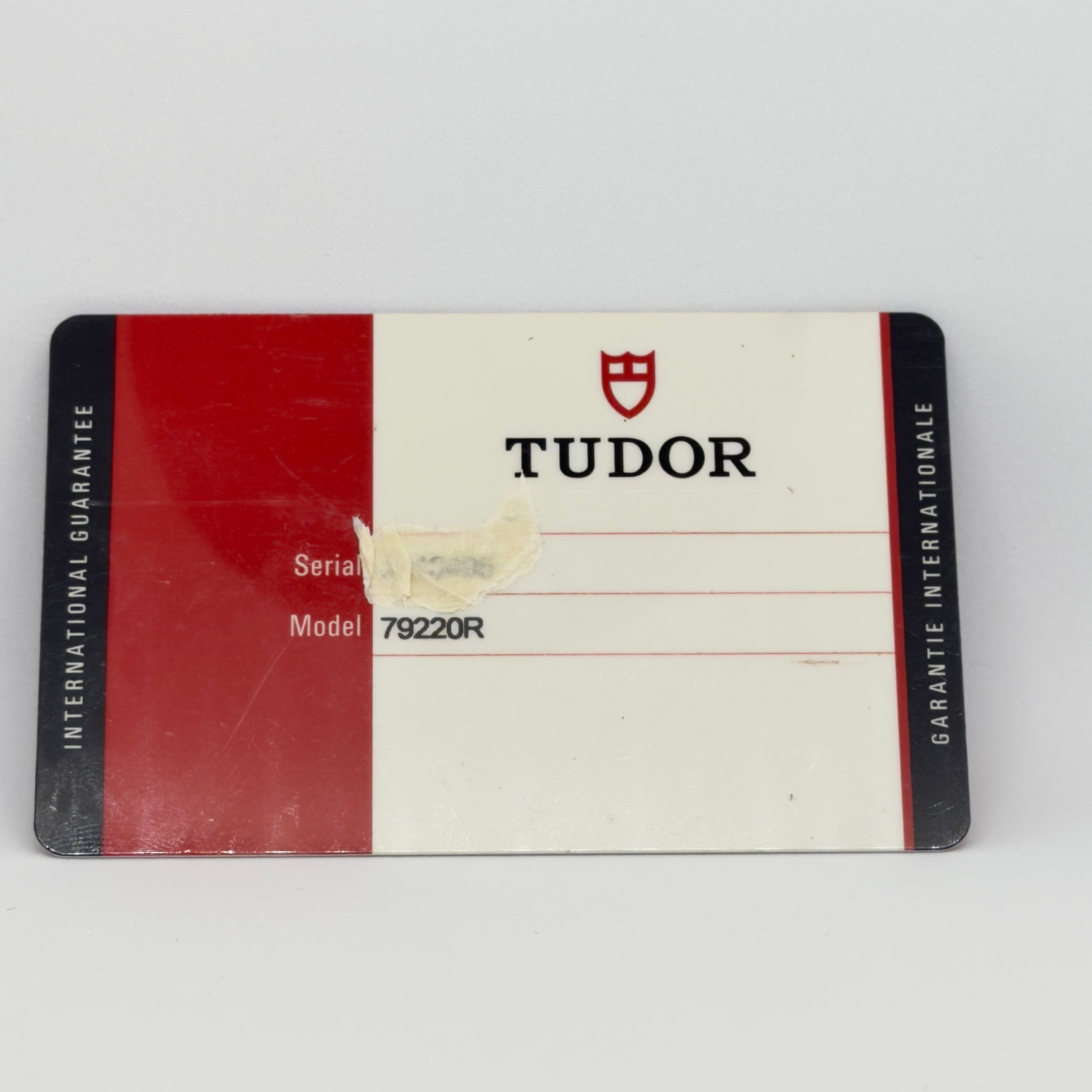 Tudor Black Bay